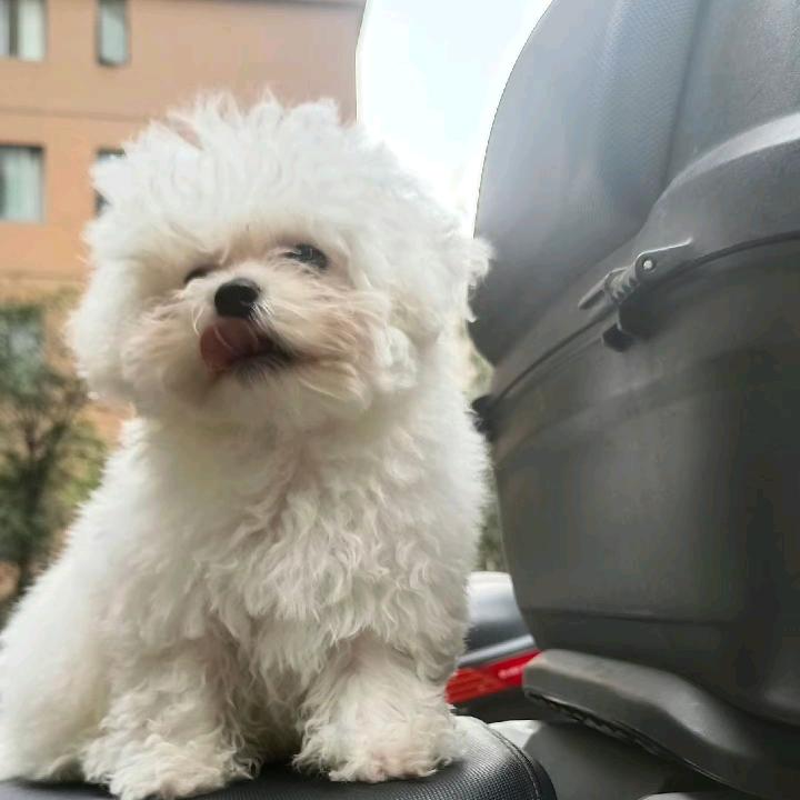 糖宝，卡路里，旺仔，牛奶