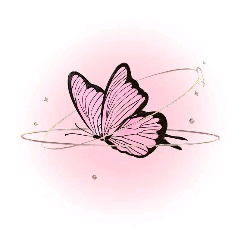 蝴蝶菲菲