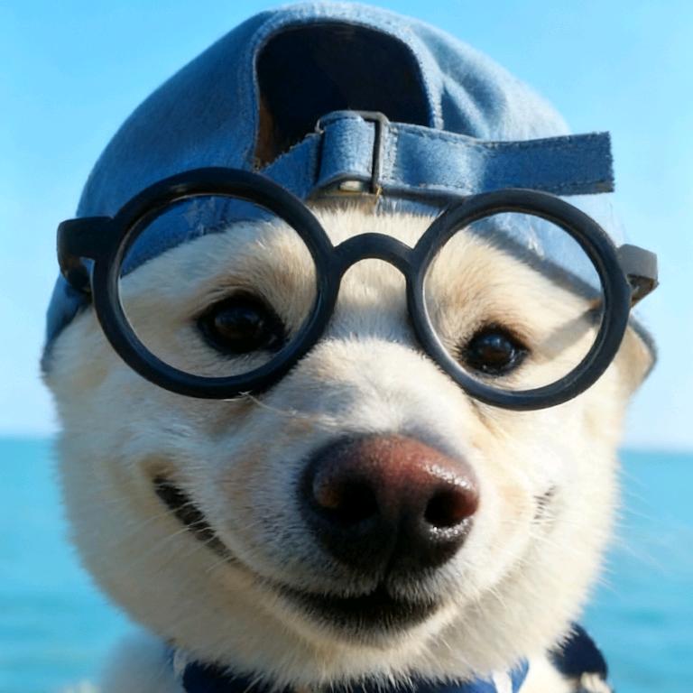 差不多冬至🔴🔵