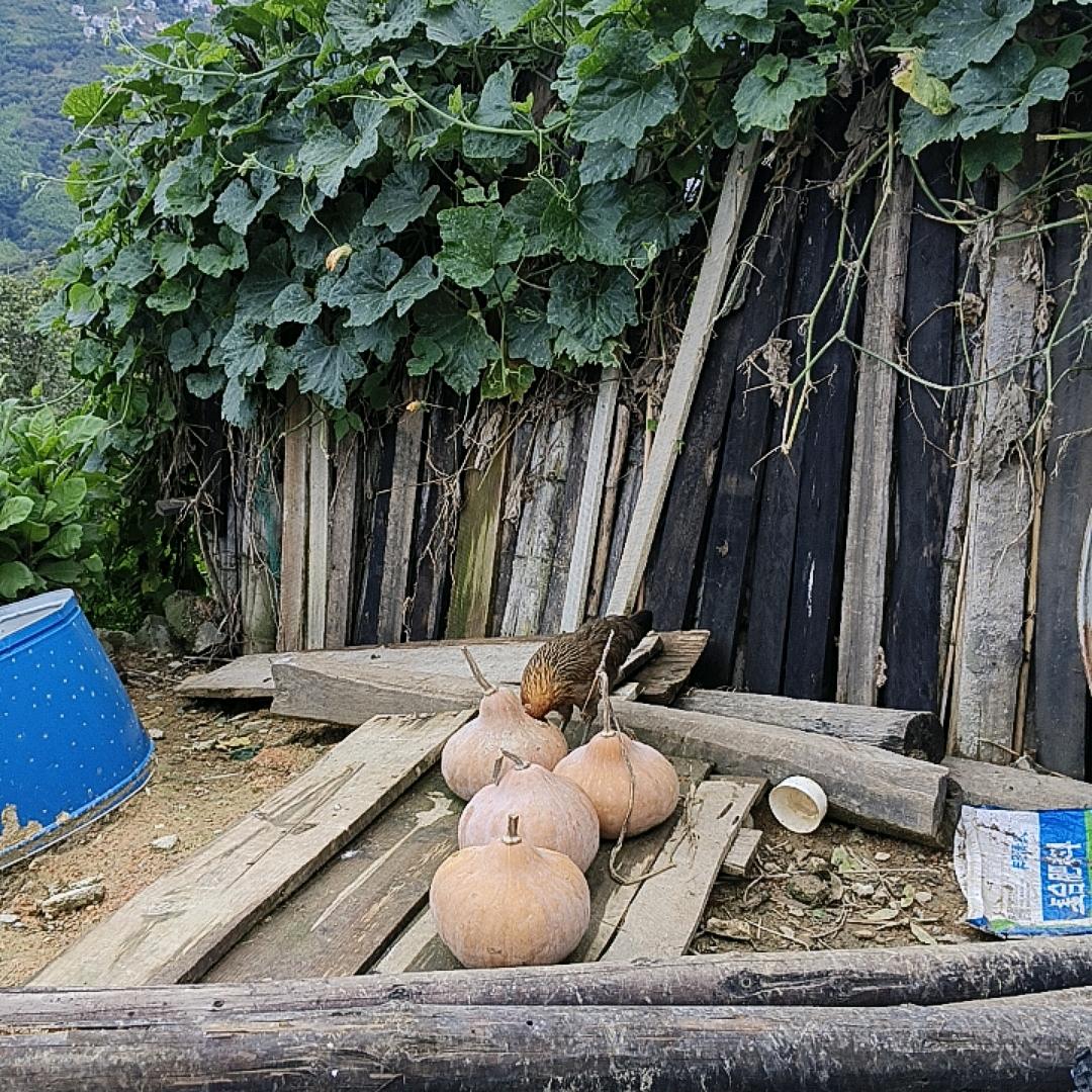欢喜