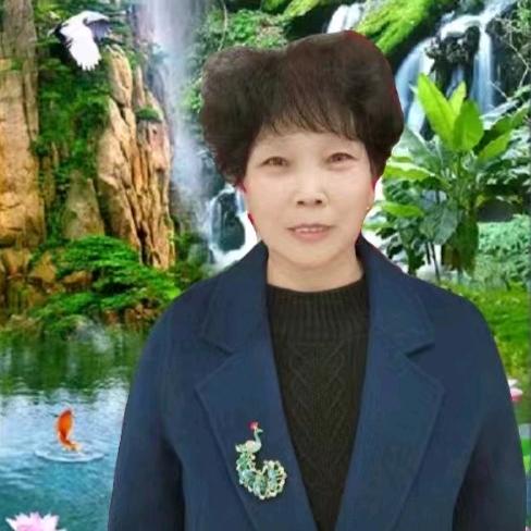 志向姐