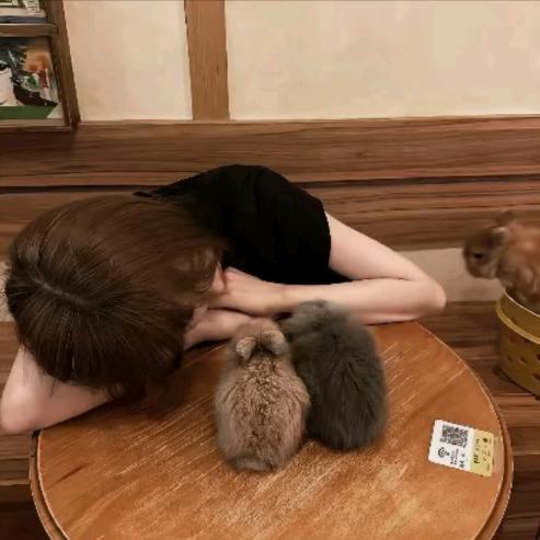 达凌Ⅺ^^
