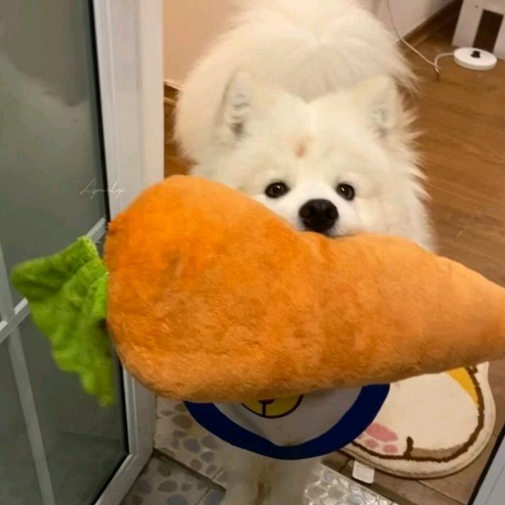 ～