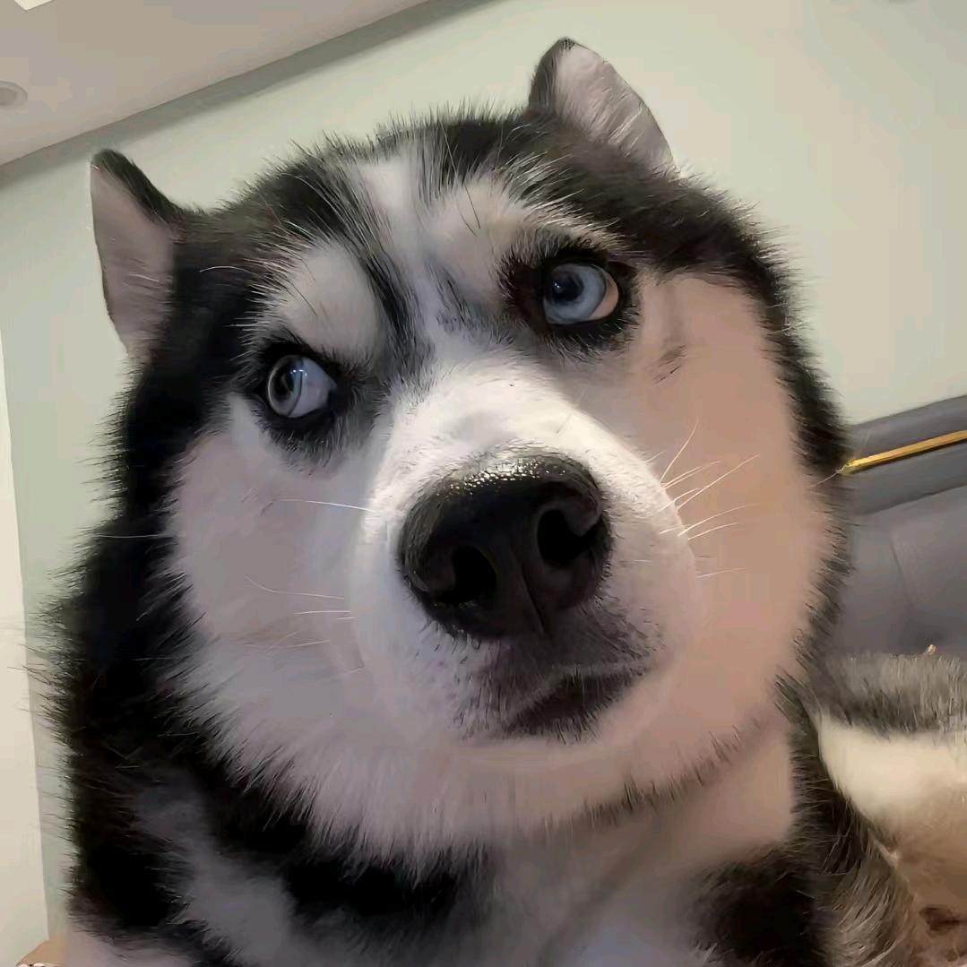天