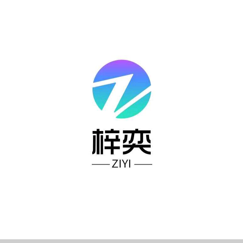 梓奕汽车改装(RZ DESING)