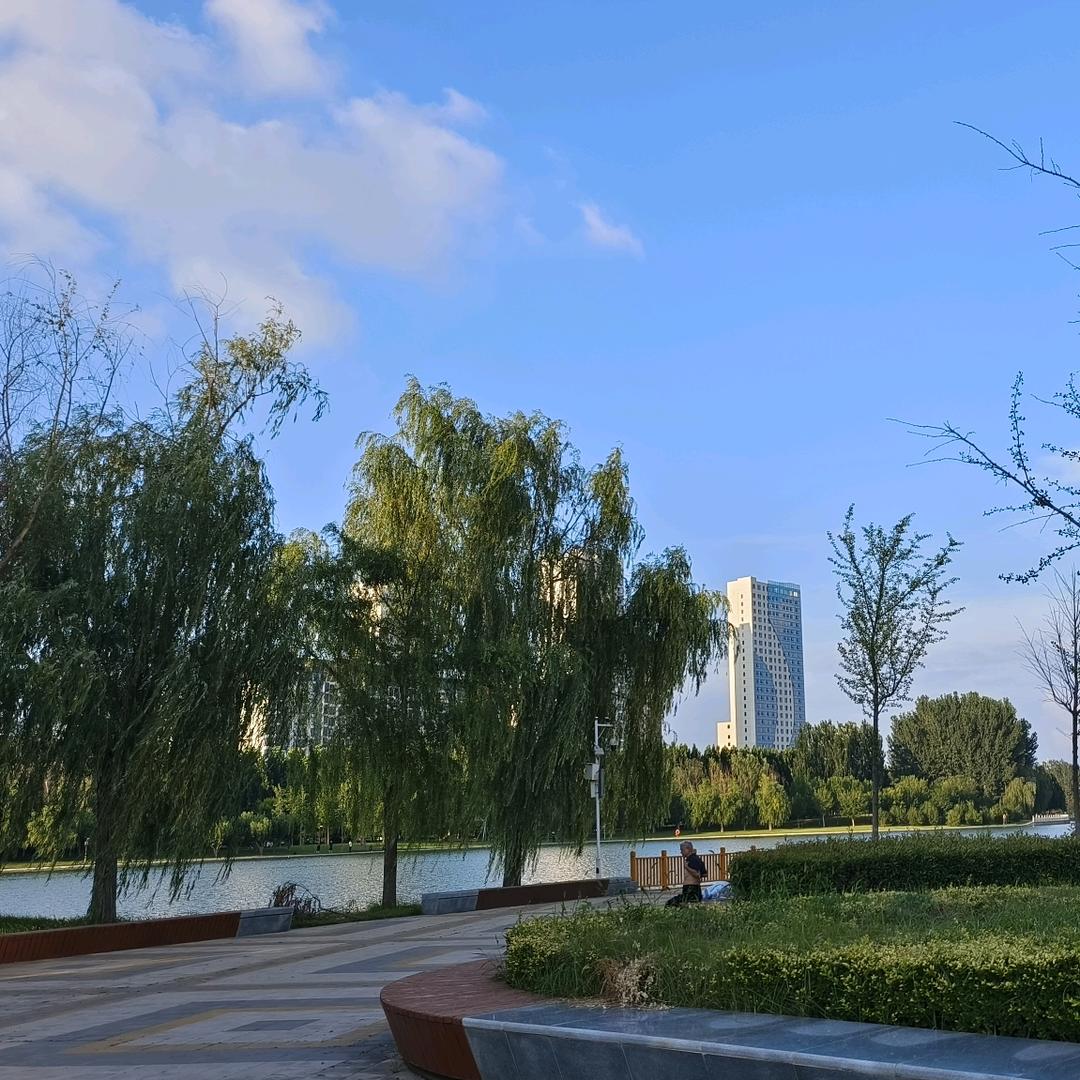 中国
