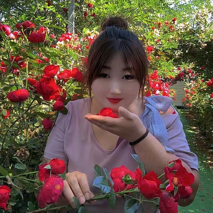 💗᭄余生ᝰᩚ随心L