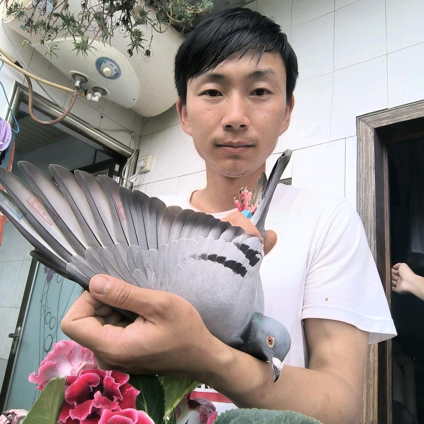 弹子传云冷库五福锦鲤神话鸽舍