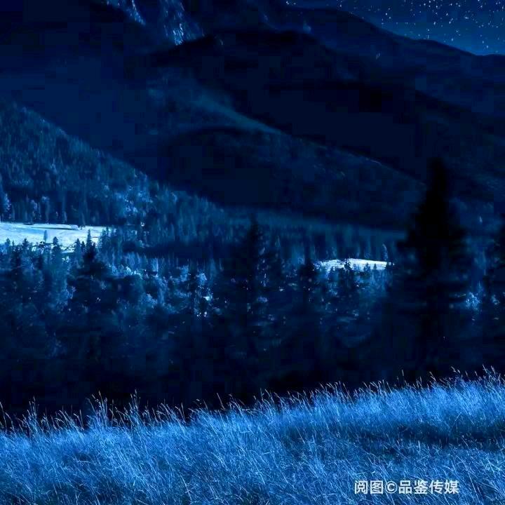 梦想的泪