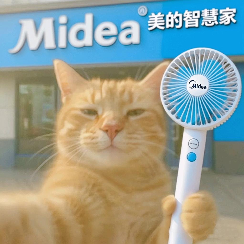 美的智慧家张俊