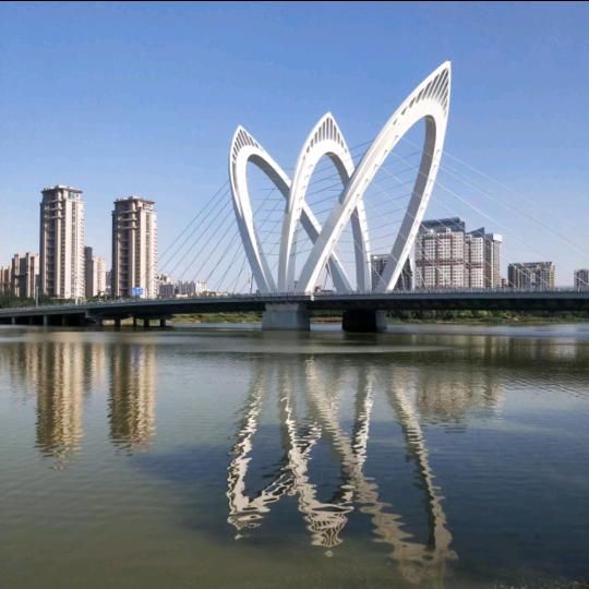 鲁-兵哥运动班长🇨🇳