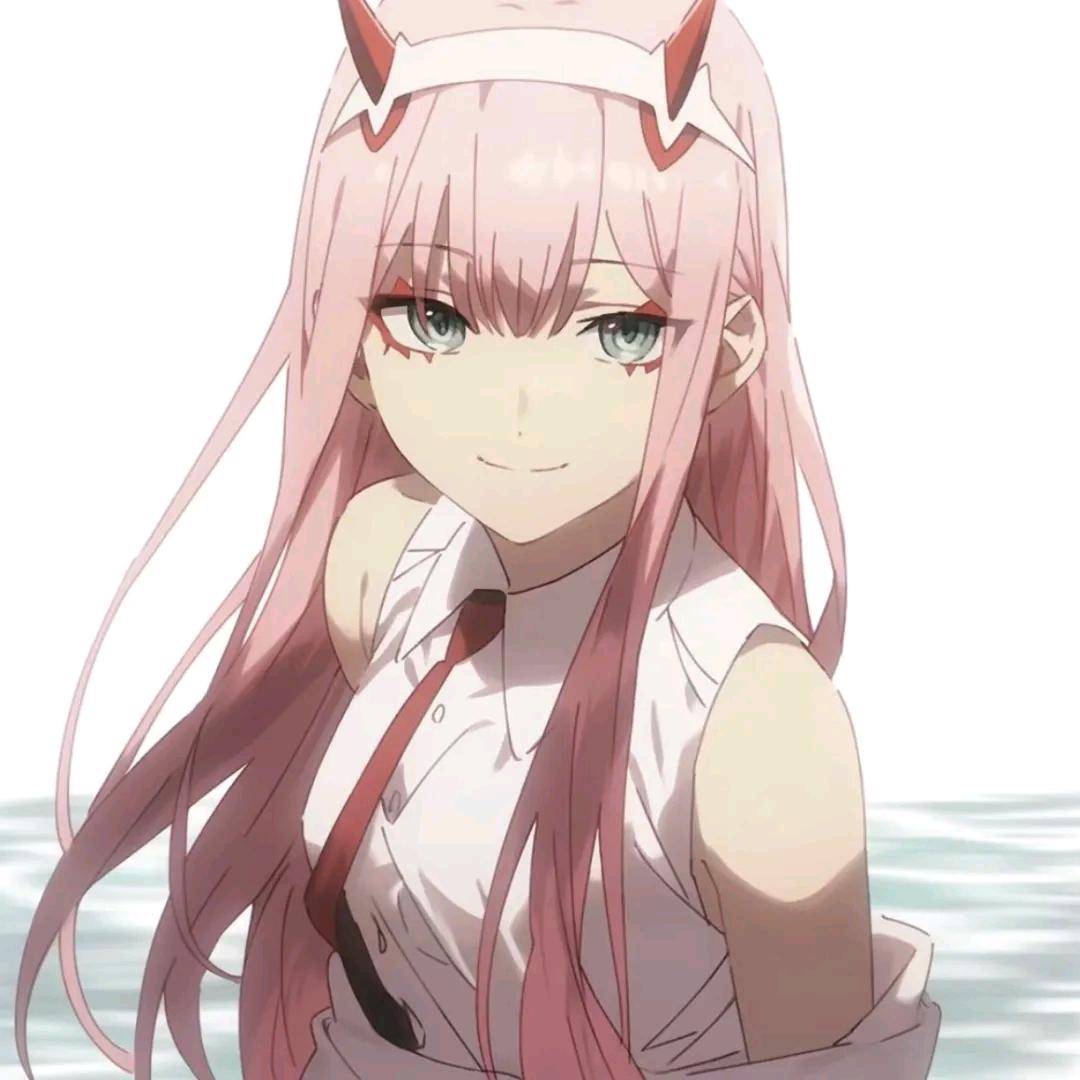 泗酒