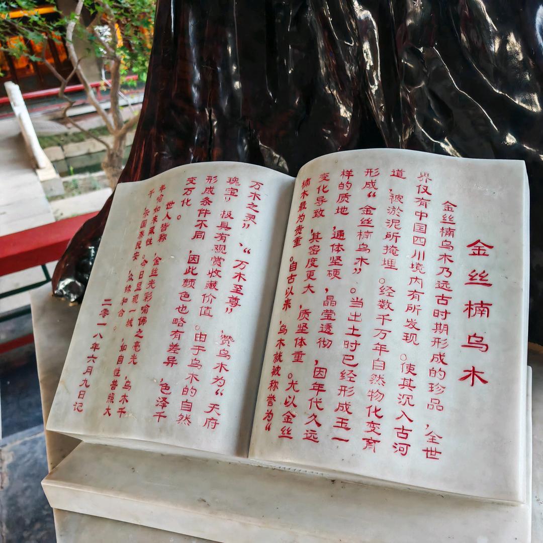 用户763258999