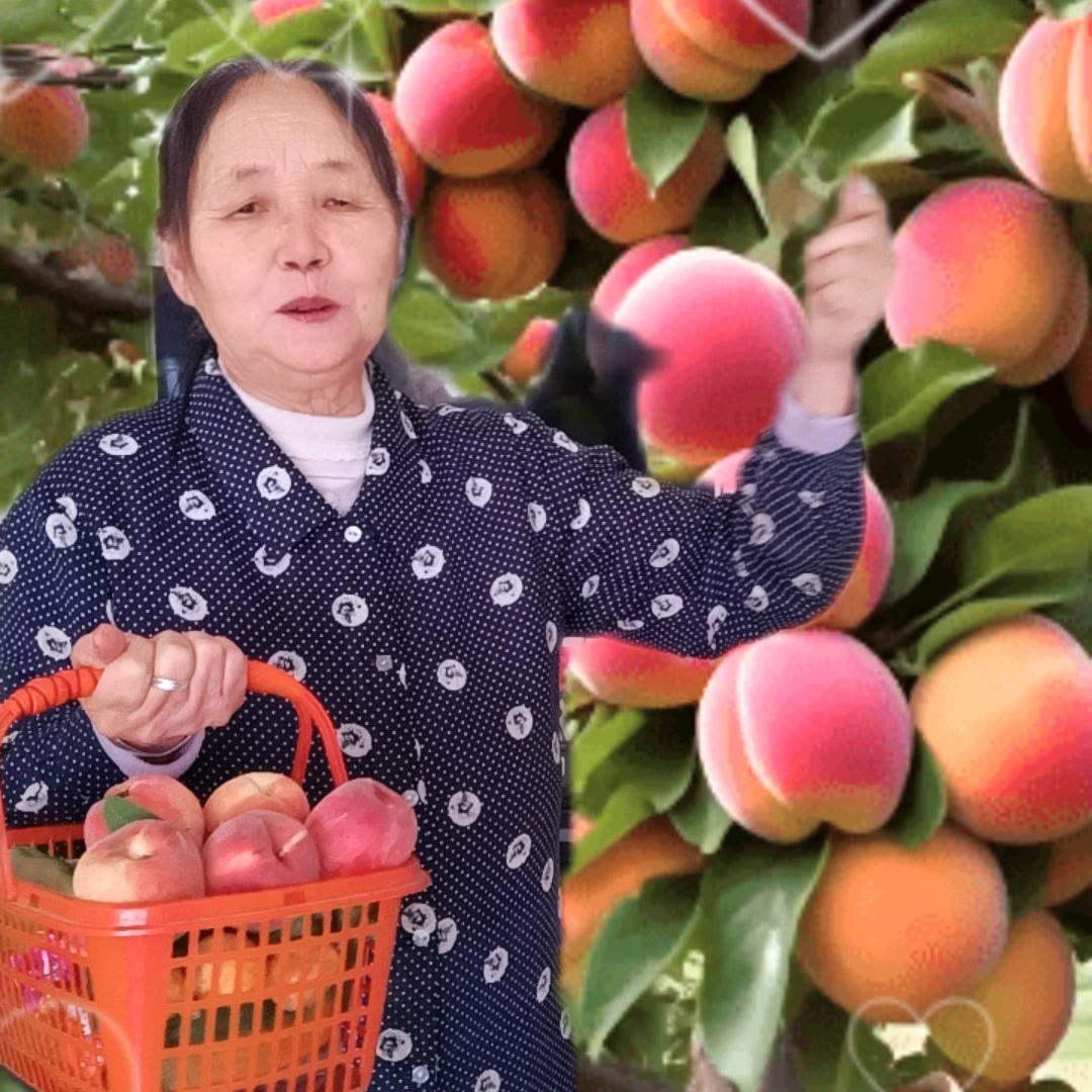 贾思华
