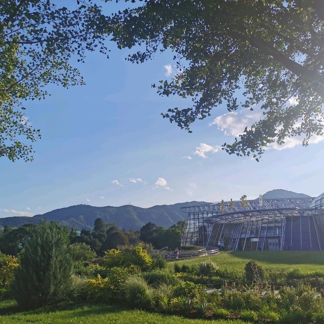 🌈🍷770🍷🌈 KING🐯