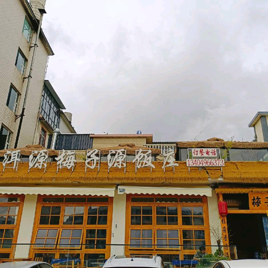 梅子源（荷花村店）