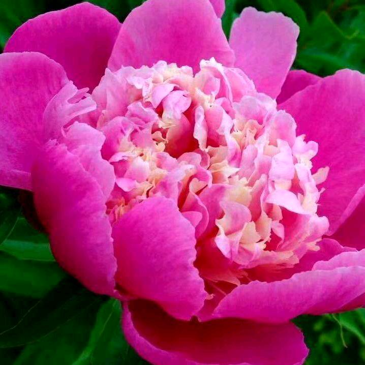 明天会更好🌿🌿