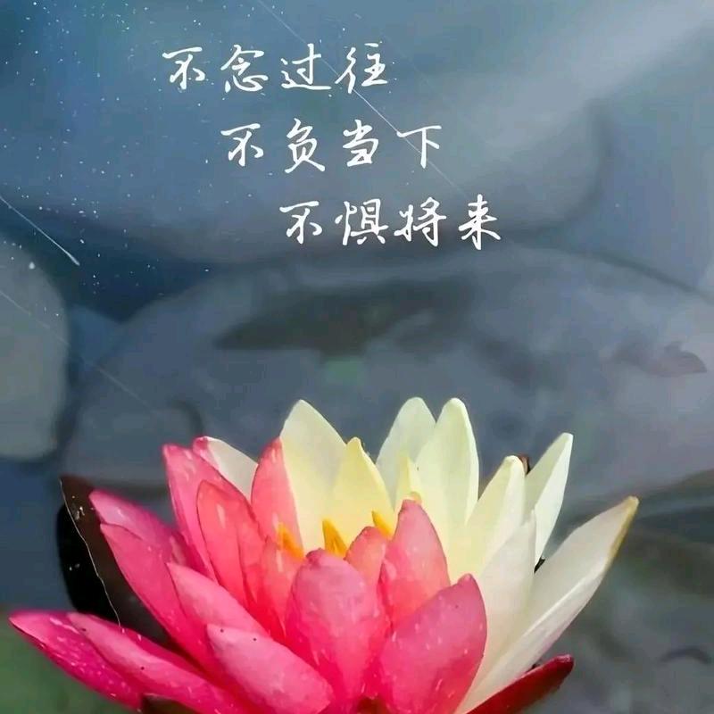 时光安暖