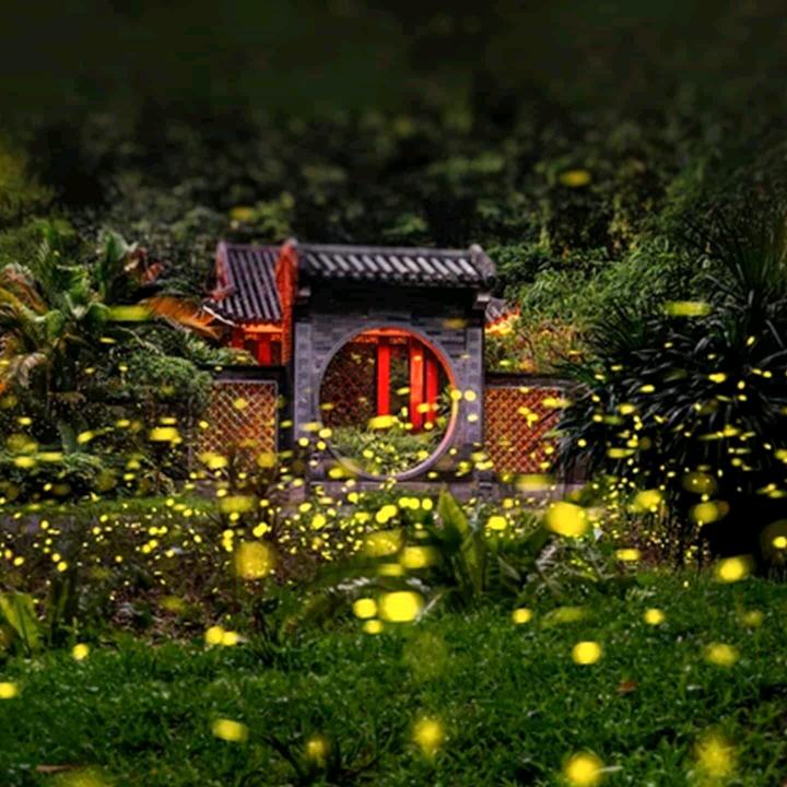 庭风旺水