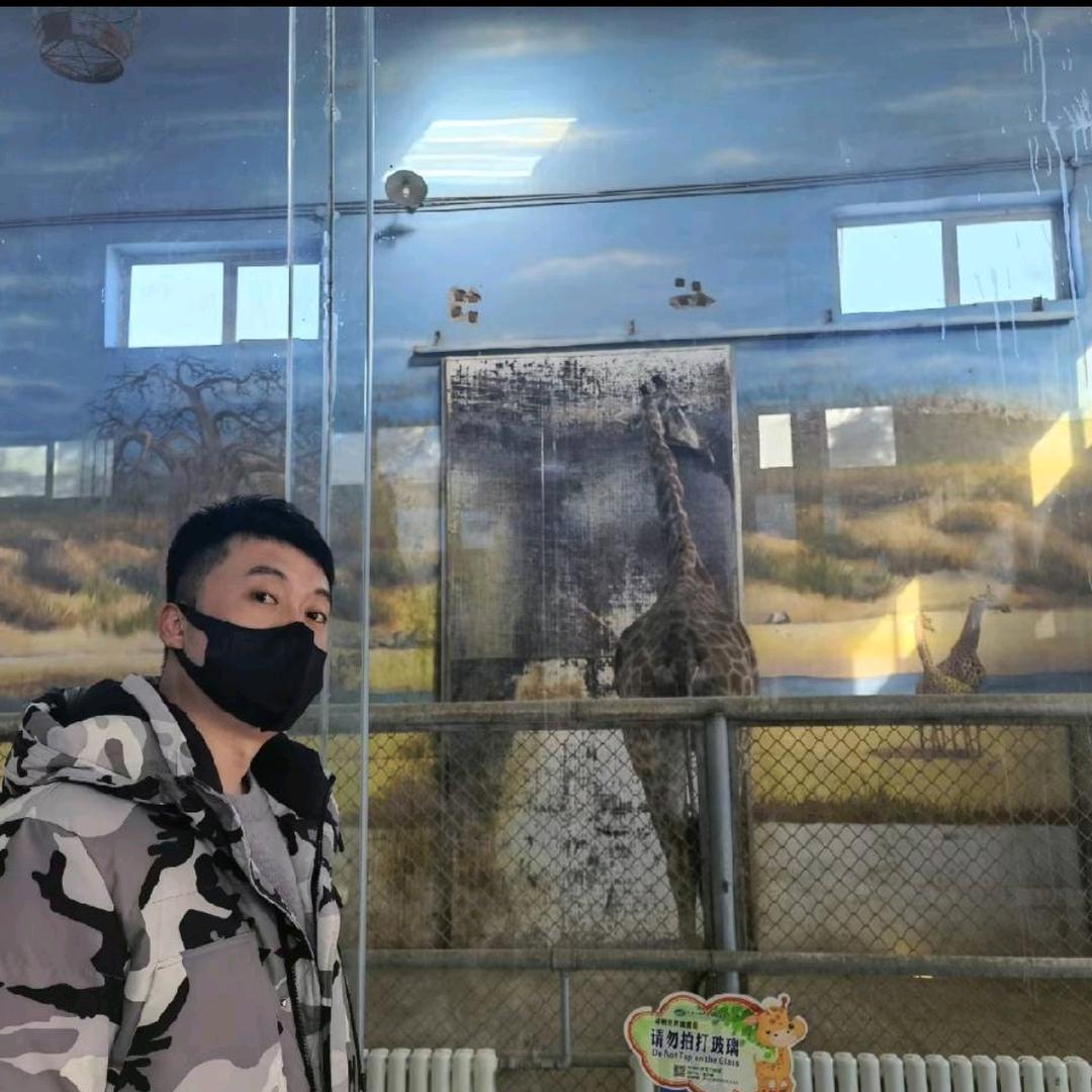 春风十里不如你