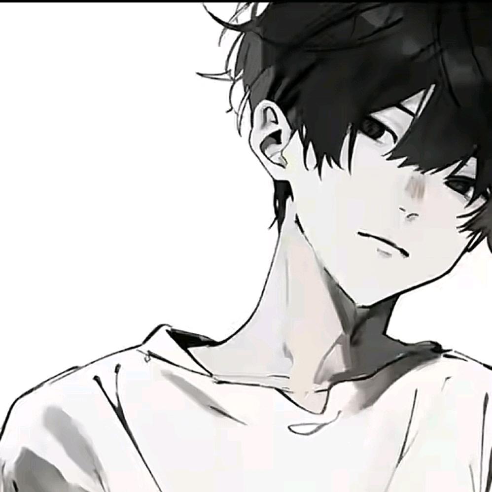 无敌王子π