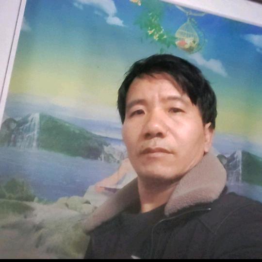 猫头鹰（毛洋洋）