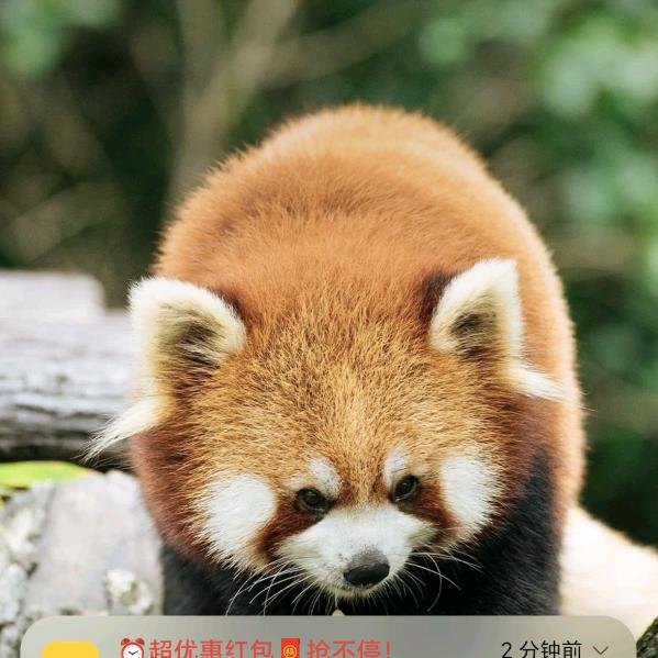 小王反工团队