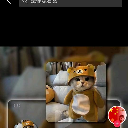 良桐