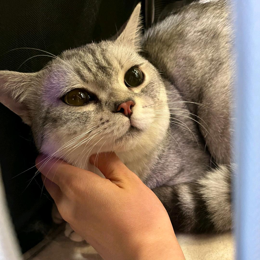 杰尼龟😉