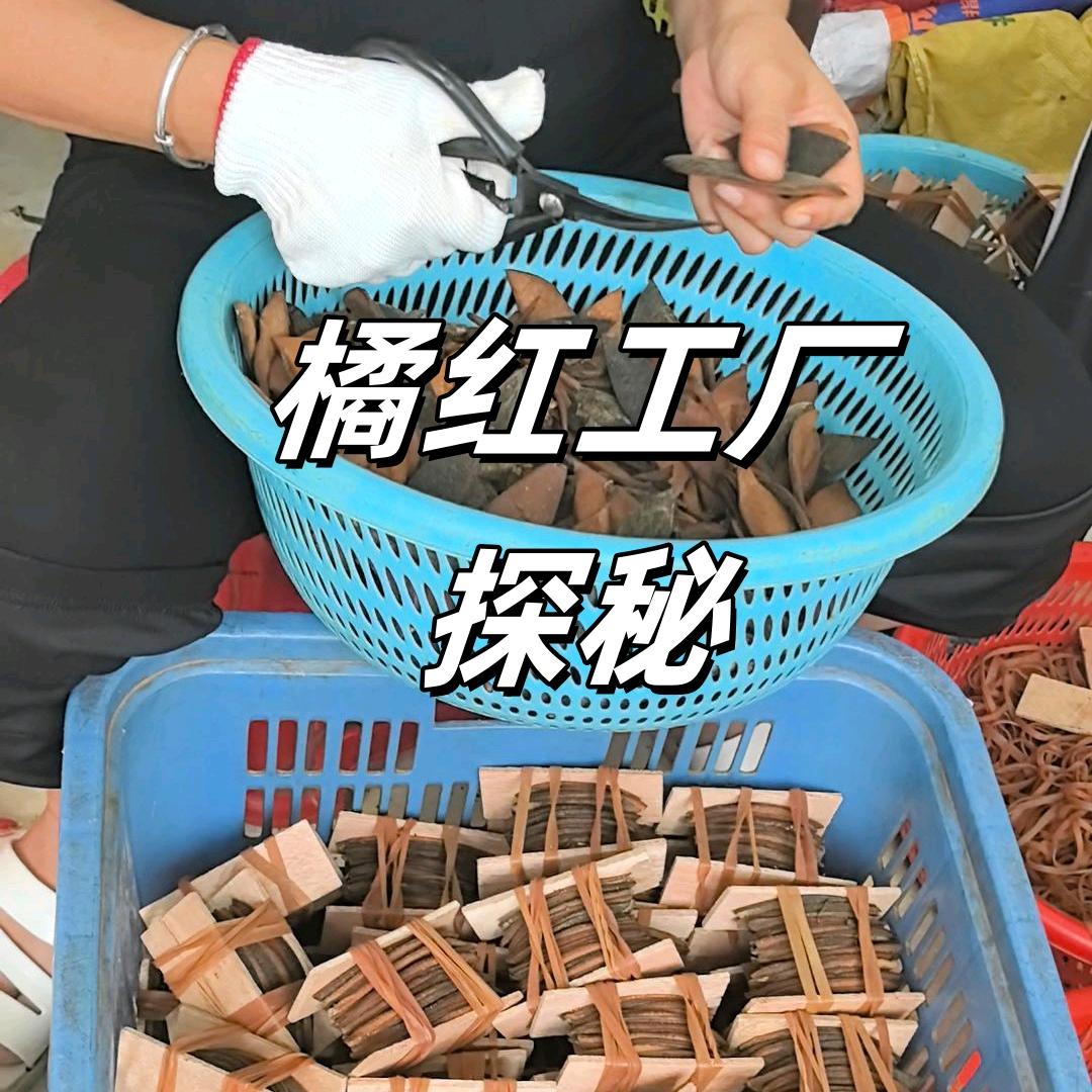 丰哥话橘红（店铺号）