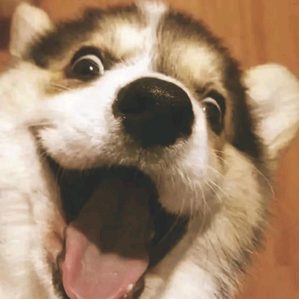 ◑.◑