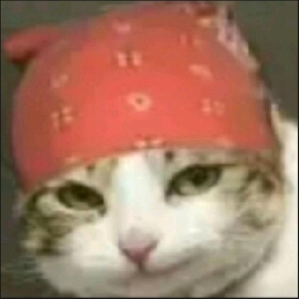 淸語