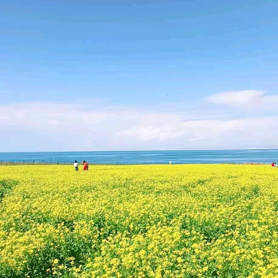用户1213