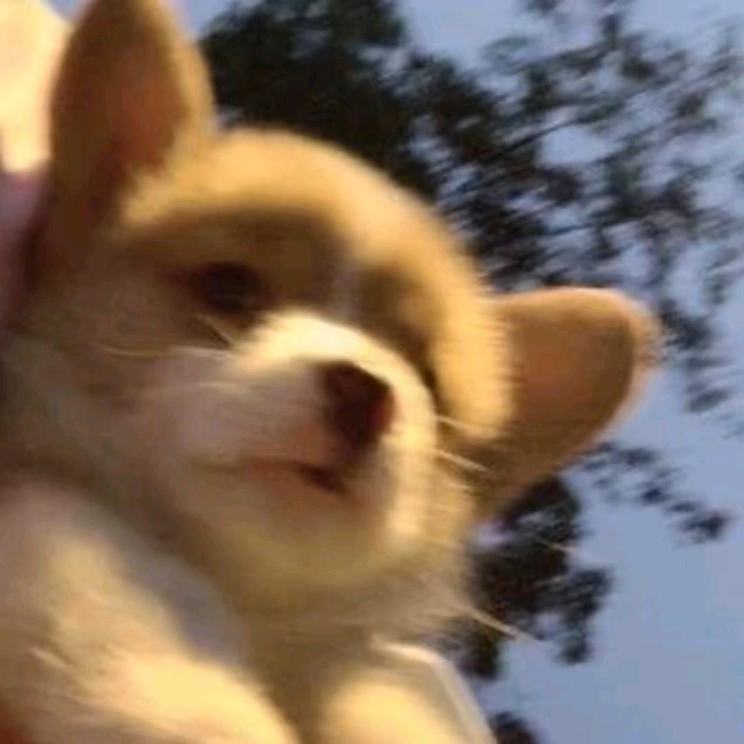 北音