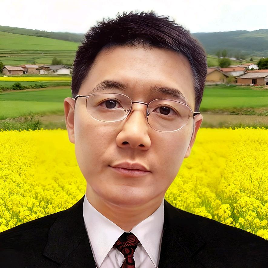 辉惠影视
