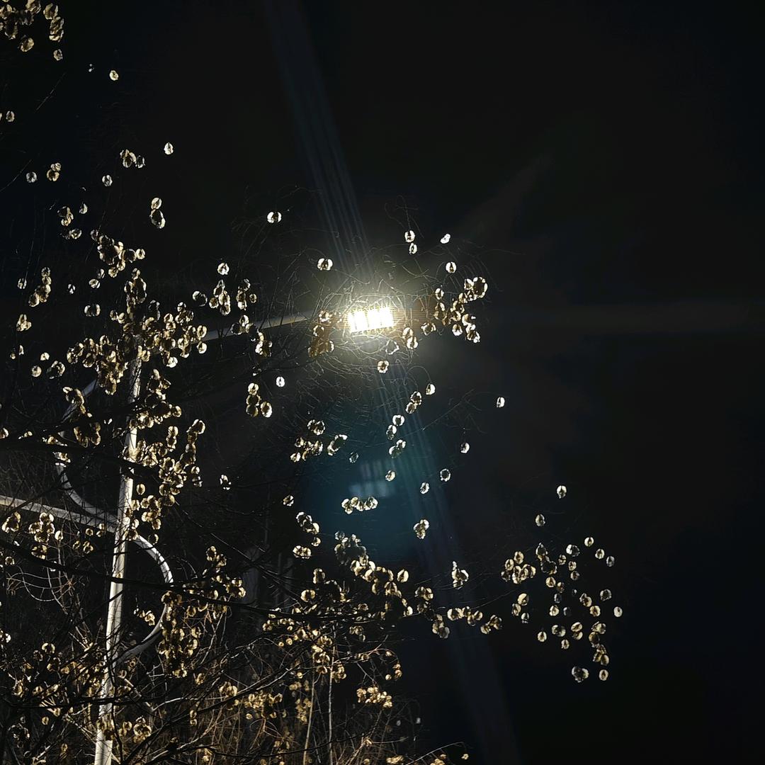 小菜的游戏日记