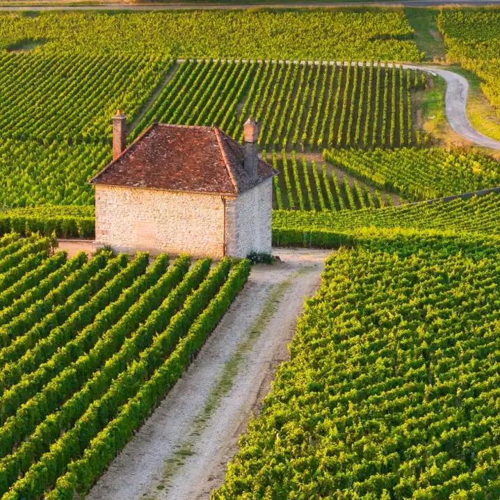 哈哈哈🥰🥰🥰🥰🥰