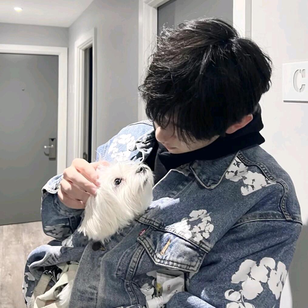 我承认我羡慕了