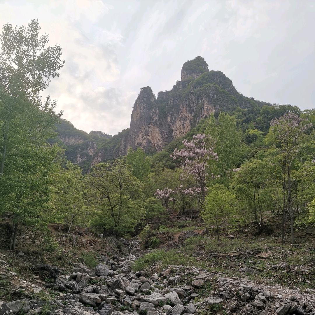 红豆nanfang