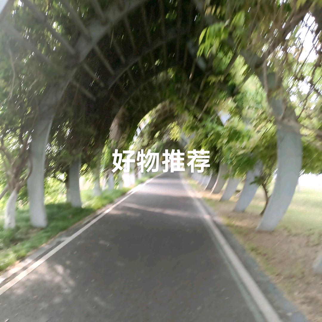 雨末花开