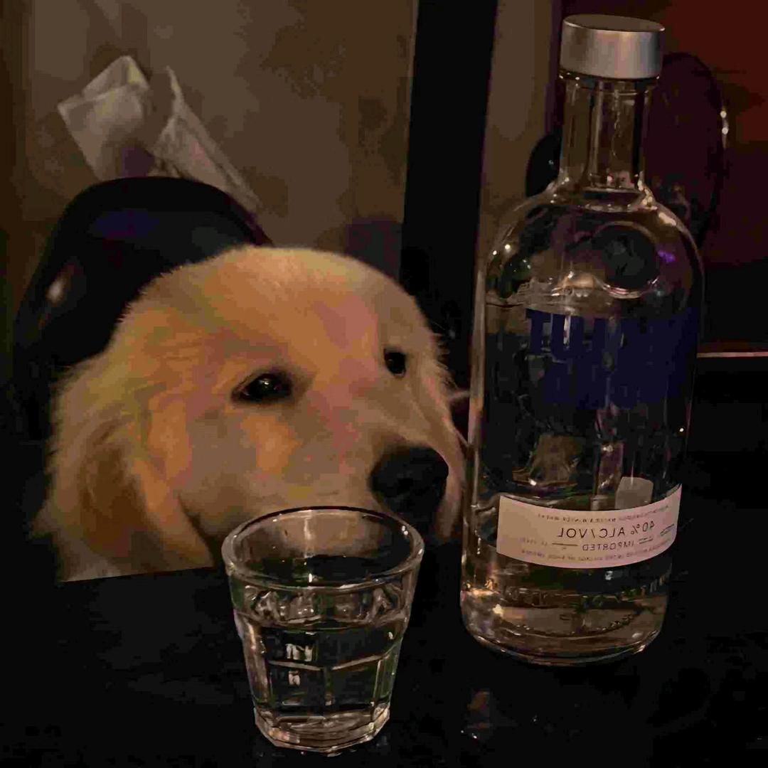 麻瓜