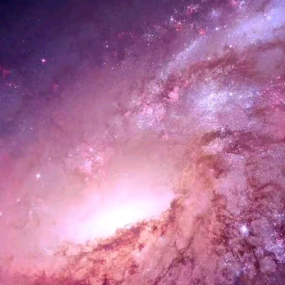 ᥫ᭡杨杨💜