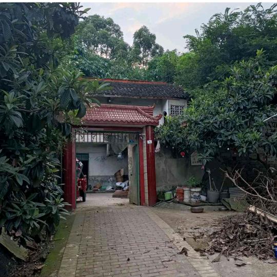 好运福气到我家