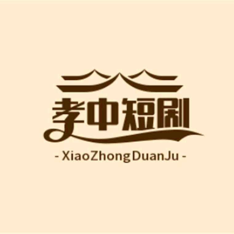 孝中小说推广