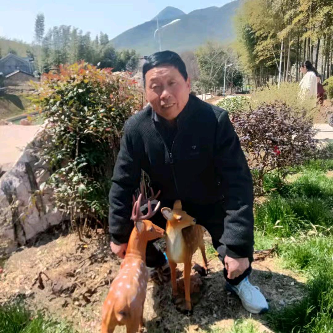 老戴