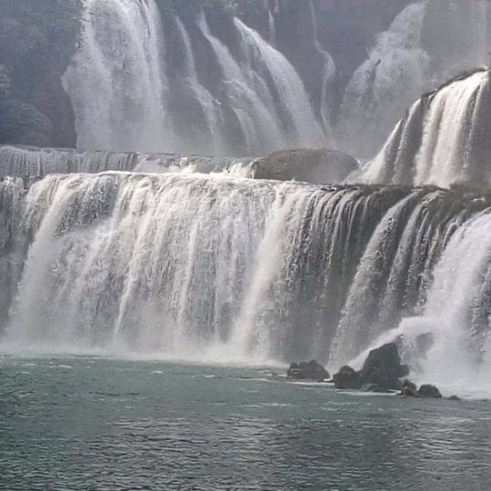 社员