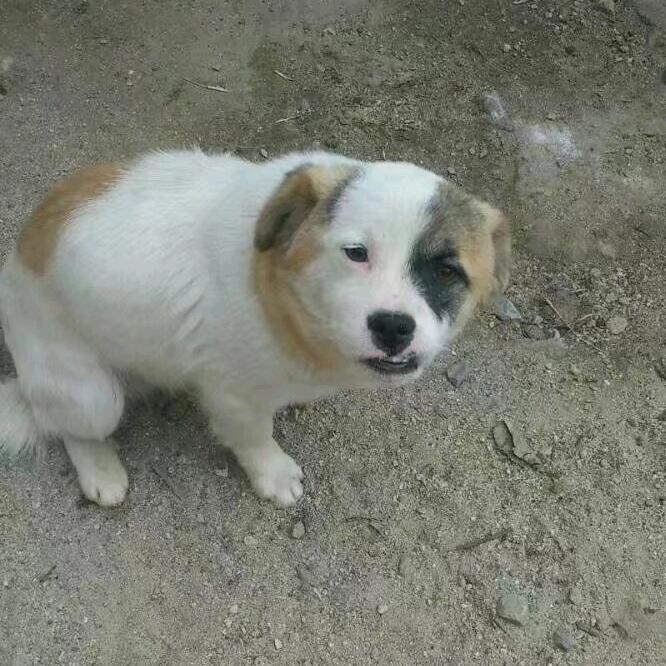 风决定要走，云怎么挽留