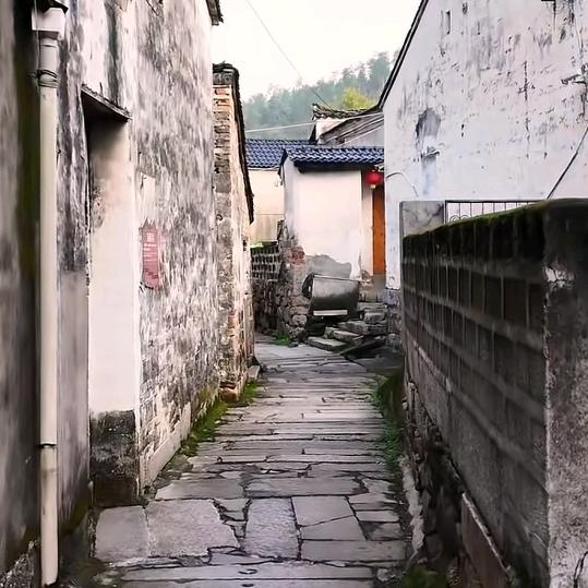 哲希雅百货店