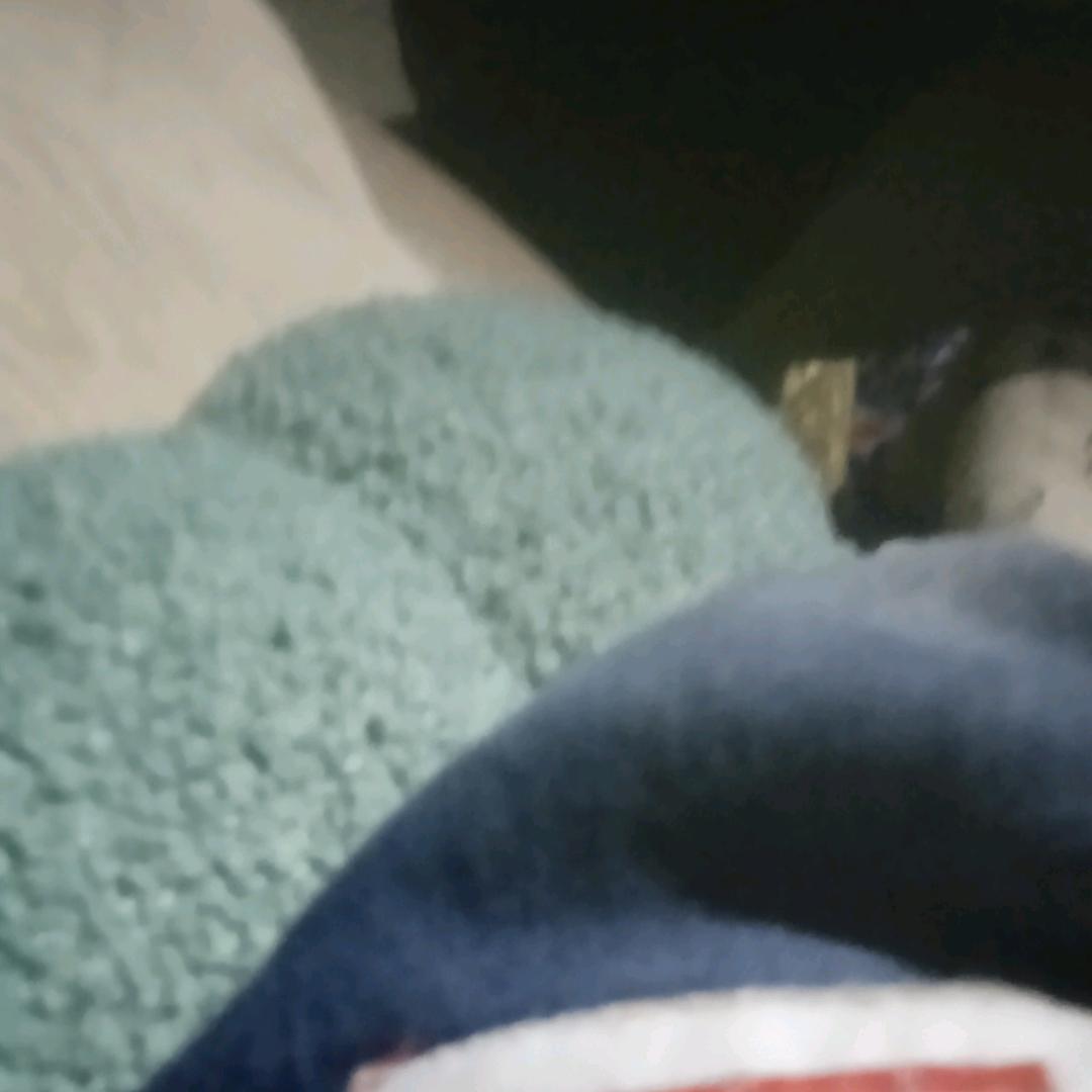 用户8380060164226