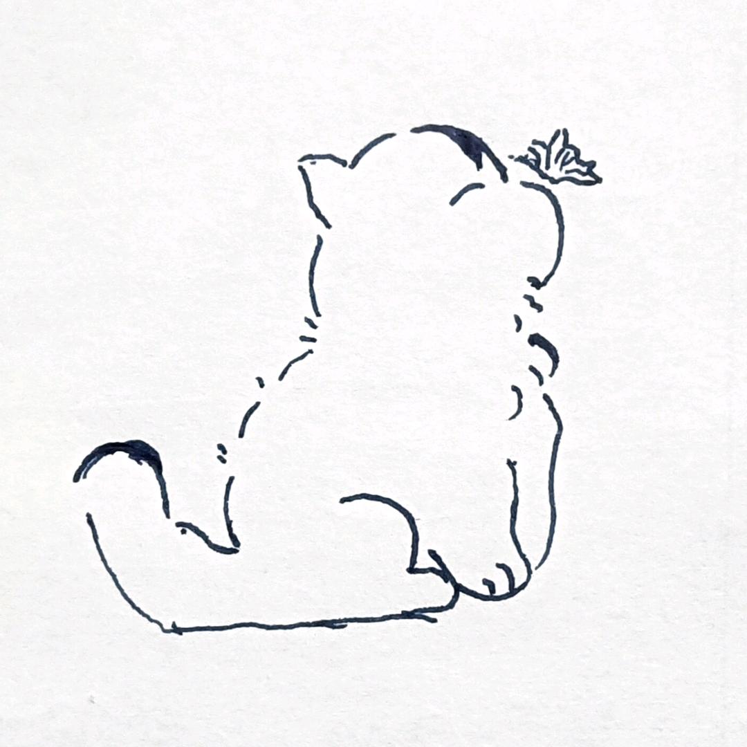 β-叶斯